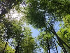 -石燕湖生态旅游景区