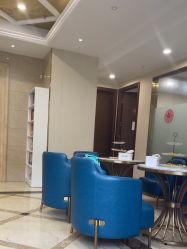 -碧莲盛·不剃发植发