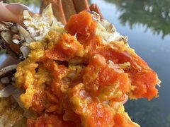 -喜洋洋蟹庄(阳澄湖店)