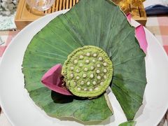 -叶叶菩提(太原别墅店)