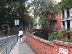 -香港大学