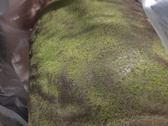 抹茶脏脏包-山崎面包(苏州中心店)