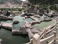 -蛇蟠岛
