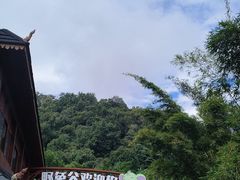-野象谷景区