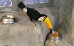 -Zoolung Zoolung动物主题公园(海信广场店)