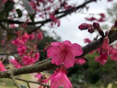 -广州市流溪河国家森林公园