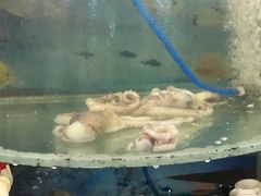 -鑫渔港海鲜本地菜·山海关浑锅(东戴河店)