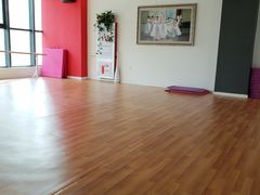 -北京红舞鞋少儿形体舞蹈教育(高新融侨城校区)