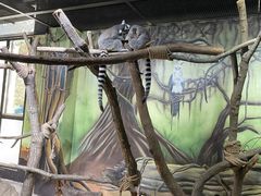 -海合安武汉极地海洋公园
