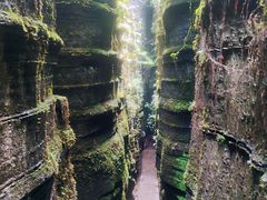 -梭布垭石林景区