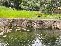 -成都市活水公园