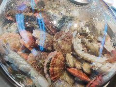 -大锅强·蒸海鲜青岛菜(吾悦广场店)