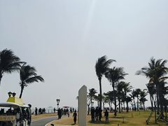 -野狸岛