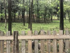 -东海森林温泉度假酒店