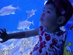 -波塞冬旅游度假区