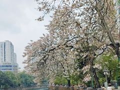 -成都市活水公园