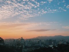 -金鸡山公园