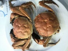 android_upload_pic-银鲨国际美食百汇(金牛万达广场店)