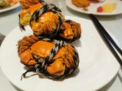 -裕龙汤泉