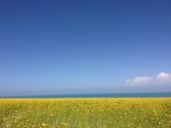-青海湖国家重点风景名胜区