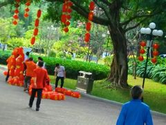 -东风公园