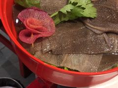 -老马路串串香火锅(北门桥店)