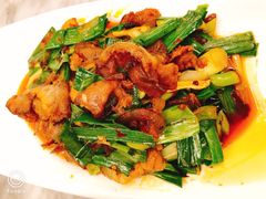 回锅肉-陈麻婆豆腐总店