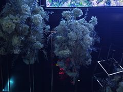 -黑桃K生日订制KTV