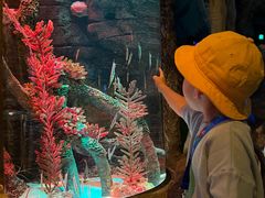 -沈阳海洋探索中心