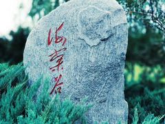 -永定河休闲森林公园