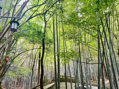 -敬亭山风景名胜区