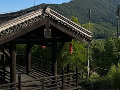 -大唐贡茶院
