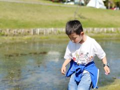 -上海欢乐谷-停车场