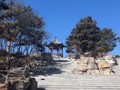 -大兴滨河森林公园