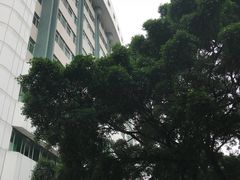 -广州市红十字会医院(总院)