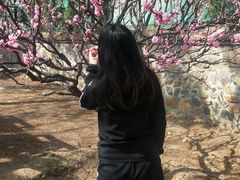 -云柏鞋业(十里堡店)