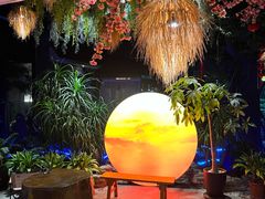 -扬之阿李菌汤火锅(1969店)