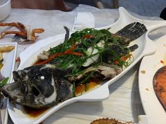 清蒸石斑鱼-桥东喜碧海鲜街(水东街店)