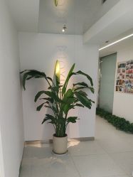 -魔型社烫染店