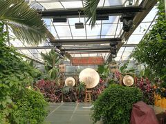 -呀路古热带植物园