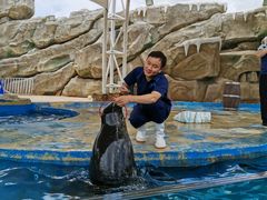 -芜湖新华联大白鲸海洋公园