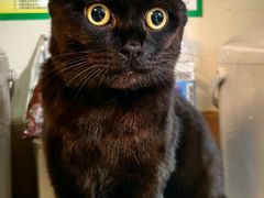 -FAELING PETS美天灵宠物(富力广场店)