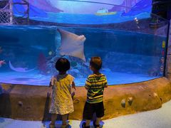 -沈阳海洋探索中心