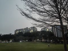 -深圳龙潭公园