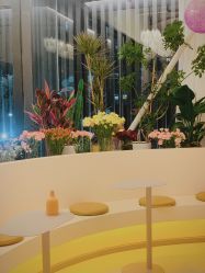 -韩芙莱芳疗spa健康管理