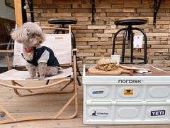 -Catch Bagel(芳草地店)