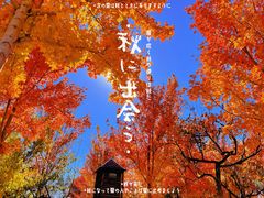 -北宫国家森林公园