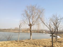 -东郊湿地公园