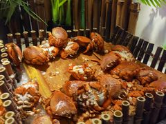 -凯悦·东方公主号 全球海鲜自助餐厅(凯丹广场店)