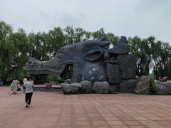 -太阳部落